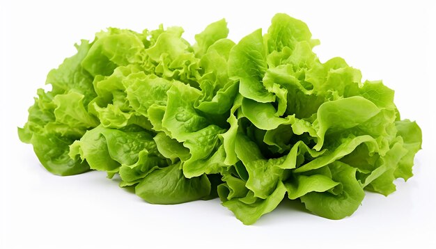 Assorted Lettuces Isolated on White Background