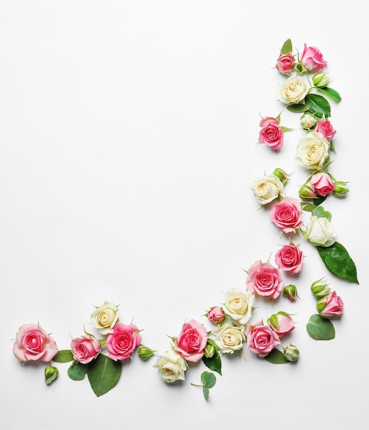 Assorted roses heads on white background