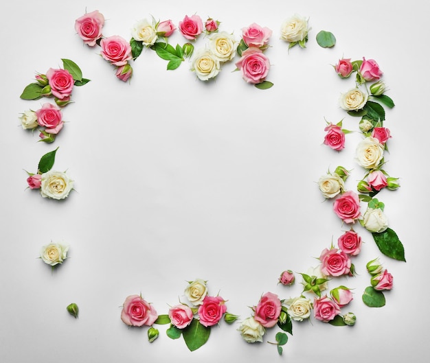 Assorted roses heads on white background