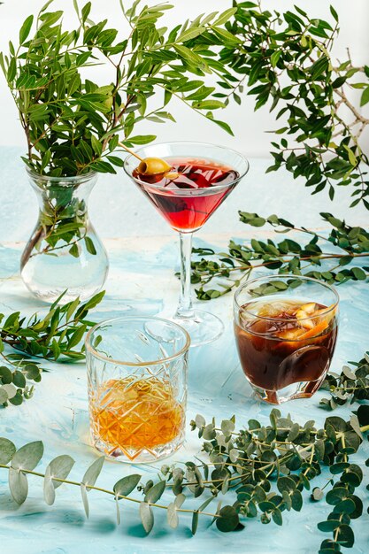 Assorted variety of different cocktails decorated with leaves