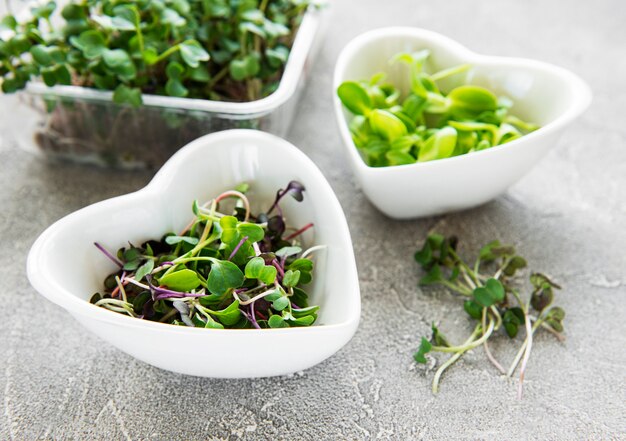 Assortiment microgreens op betonnen ondergrond