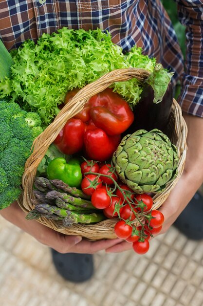 Assortiment of boerenmarkt bio biologische rijpe groenten in handen