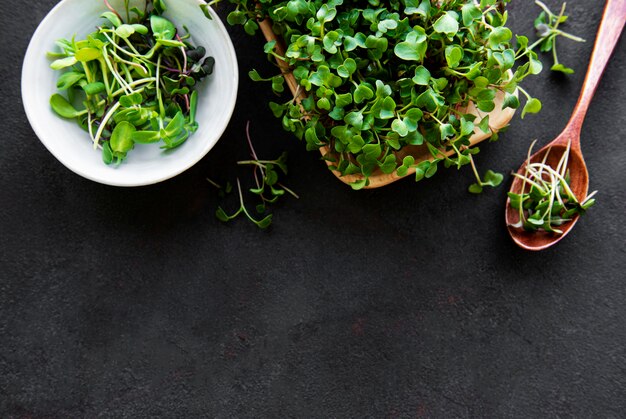 Assortiment van microgreens op zwarte achtergrond, kopie ruimte, bovenaanzicht. gezonde levensstijl