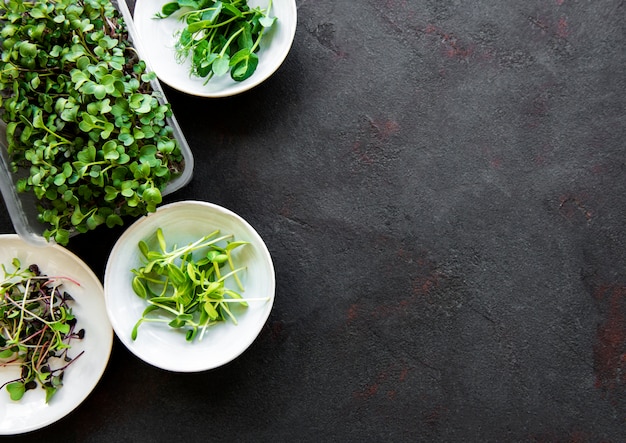 Assortiment van microgreens op zwarte steenachtergrond, exemplaarruimte, hoogste mening. rode radijs, groene erwten, zonnebloem en andere spruiten in kommen. gezonde levensstijl