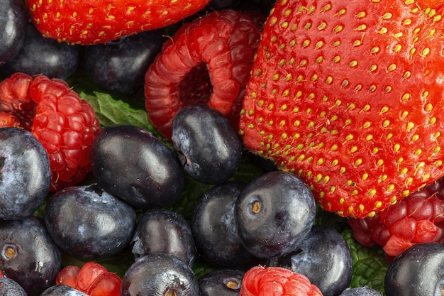 Assortiment van rood fruit, aardbeien, bosbessen en frambozen, close-up Gezond voedselconcept