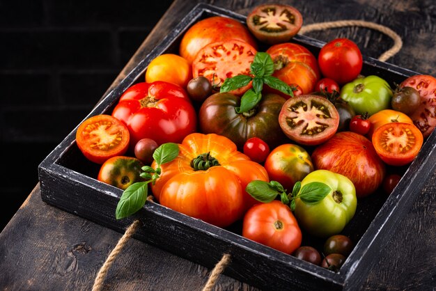 Assortiment van verschillende kleurrijke tomaten