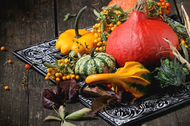 Assortiment van verschillende pompoenen en bessen