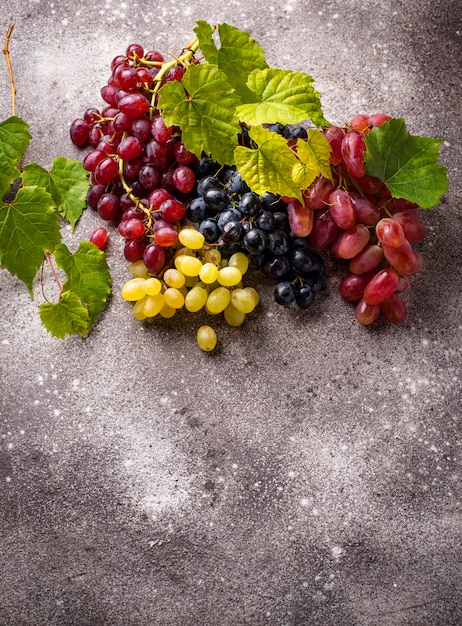 Foto assortiment van verschillende soorten druiven