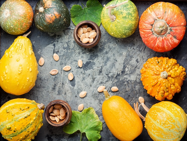 Assortment of autumn pumpkins background