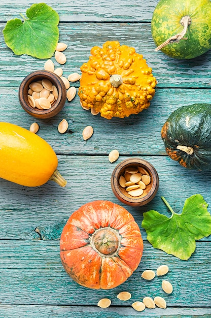 Assortment of autumn pumpkins