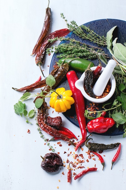 Assortment of chili peppers and herbs