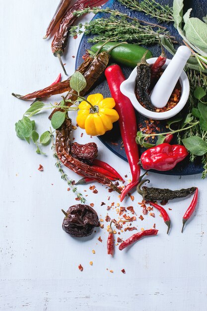 Photo assortment of chili peppers and herbs