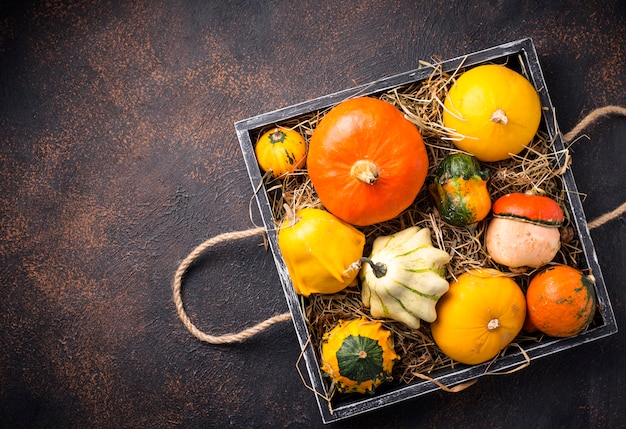 Assortment of decorative colorful pumpkins