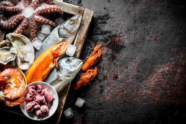 Assortment of different seafood on tray with ice cubes