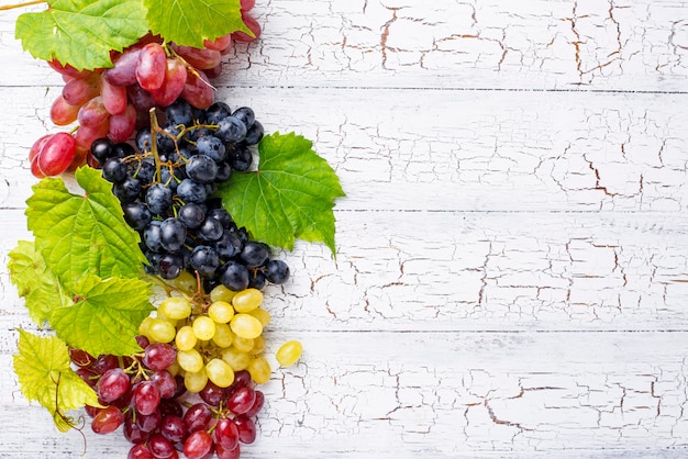 Assortment of different sort of grapes