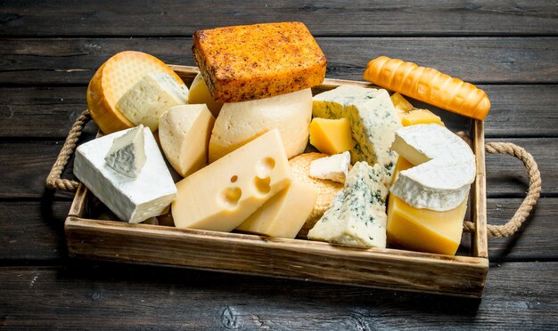 Photo assortment of different types of cheese on the tray