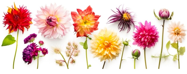 Foto assortimento di fiori squisiti varietà floreali vibranti generate dall'ia