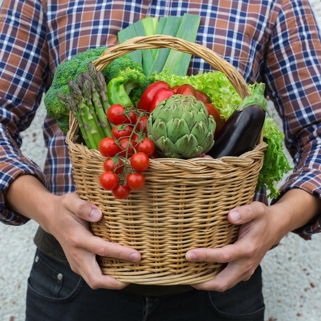 Assortment or farmer market bio organic ripe vegetables in hands