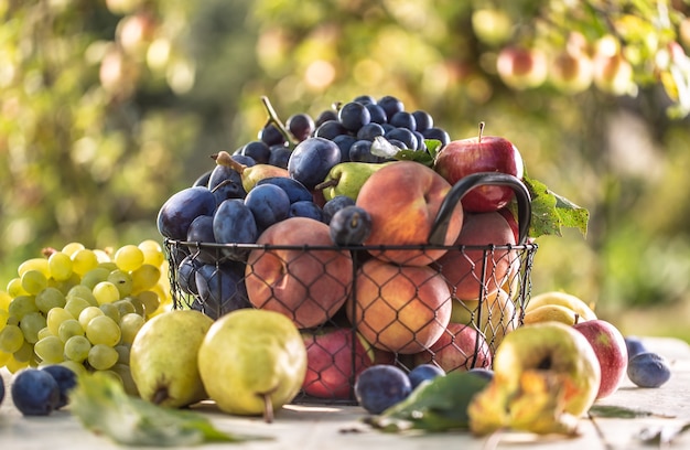 Assortment of fresh fruits on a garden table in a wire basket.