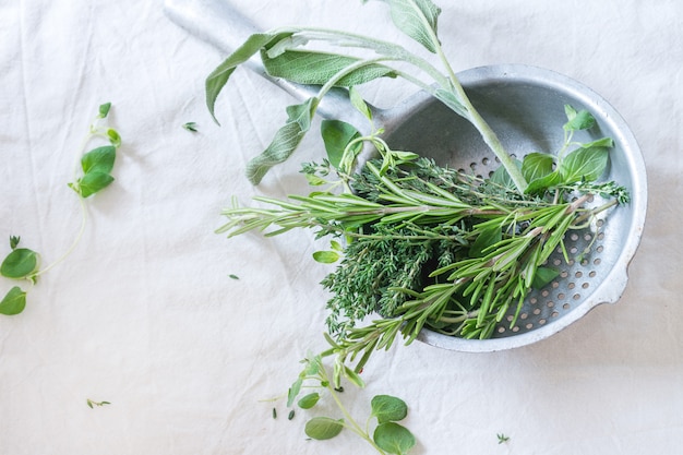 Assortment of fresh herbs