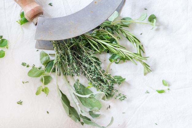 Assortment of fresh herbs