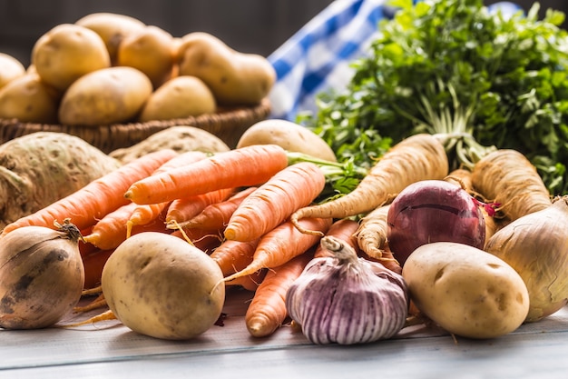 Assortment of fresh vegetables on wooden table. Carrot parsnip garlic celery onion and kohlrabi.