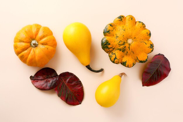 Assortment from pumpkins and red autumn leafsConcept of the fall harvest and traditions