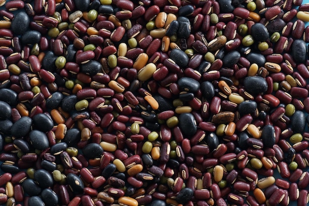 Photo assortment of many kinds of beans nuts for animal feed