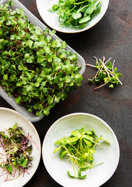 Assortment of micro greens at black background, copy space, top view.