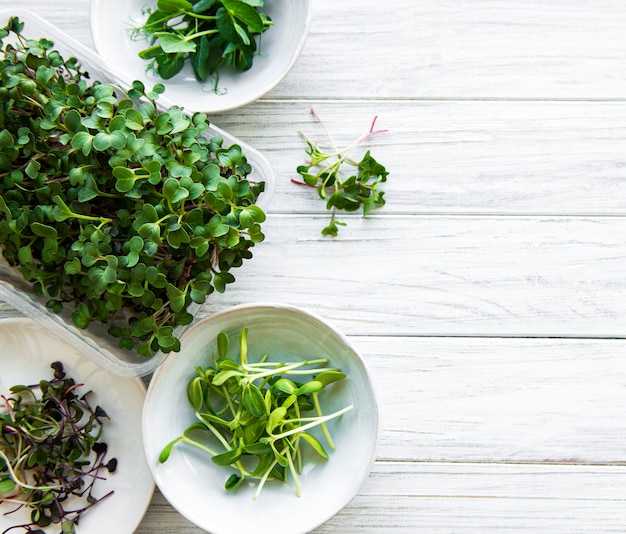 Assortment of micro greens on white wooden