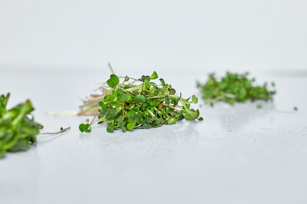 Assortment of Microgreen heap of sprouts micro greens