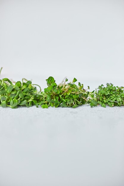 Assortment of Microgreen heap of sprouts micro greens