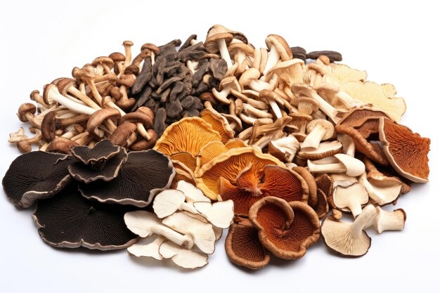 Assortment of mushrooms on white background