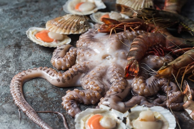 Assortimento di frutti di mare con polpo fresco crudo, capesante e gamberi, come sottofondo per una cena gourmet