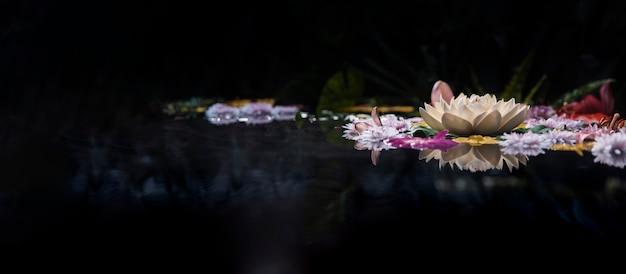 Photo assortment of thermal spring flowers