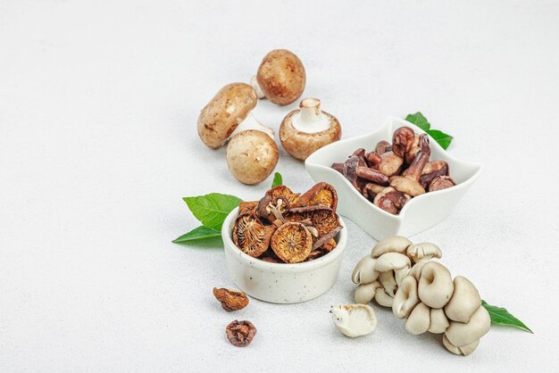 Assortment of various mushrooms fresh dried and pickled Oyst