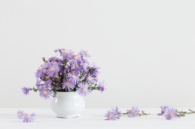 Aster amellus boeket in keramische vaas op witte ruimte