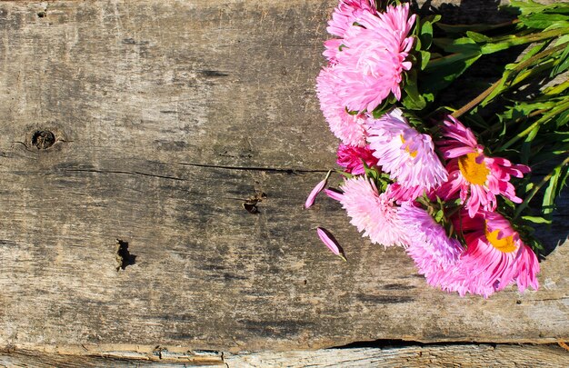 Aster flowers on the wooden background