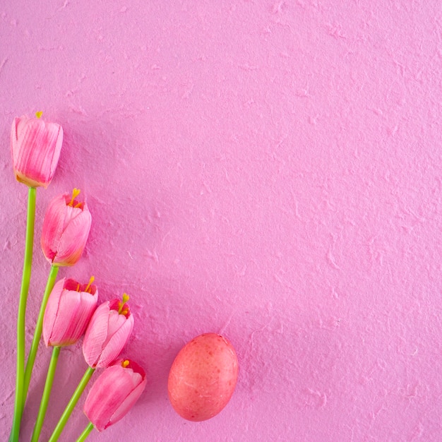 Decorazioni di festa di aster, fondo di concetto di pasqua