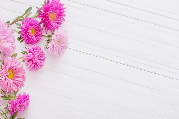 Asters on white wooden table