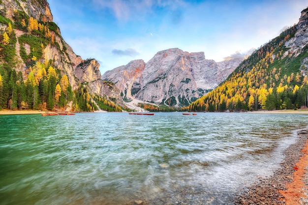 秋の有名な高山湖 Braies の驚くべき風景