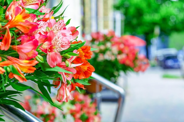 Astromeria Bright bouquet of colored flowers Blurred background