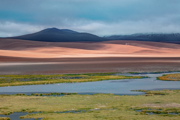 Atacama desert savanna, mountains and volcano landscape, Chile, South America