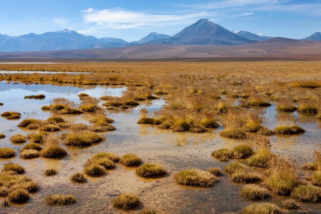 Atacamawoestijn Landschap Chili Zuid-Amerika
