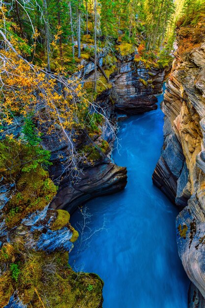 Photo athabasca falls canyon in autumn jasper national park canada