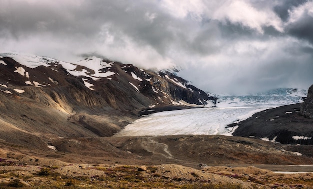 Ghiacciaio athabasca situato nel parco nazionale di jasper