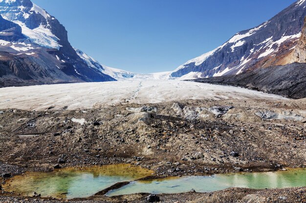 Athabasca glacier