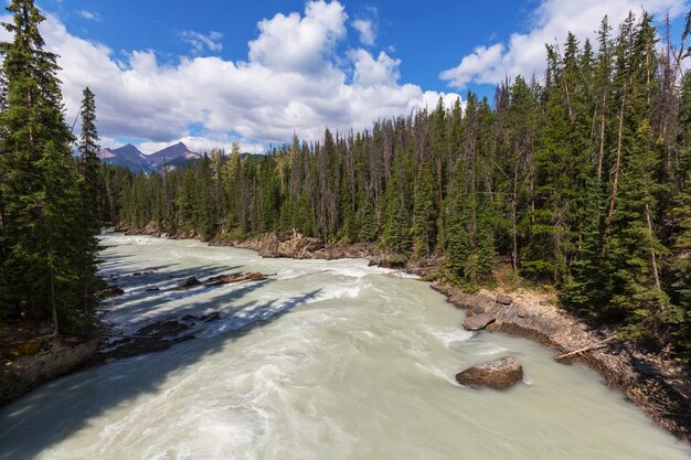 Photo athabasca river