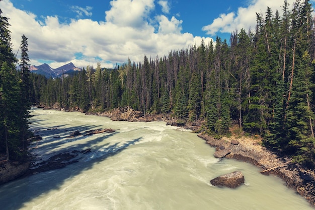 Photo athabasca river