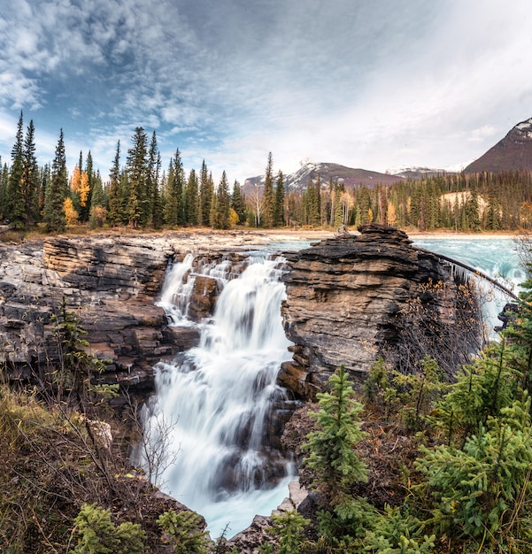 Athabasca valt stroomversnellingen stroomt is waterval in het nationaal park Jasper